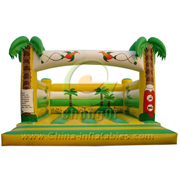 inflatable bouncer